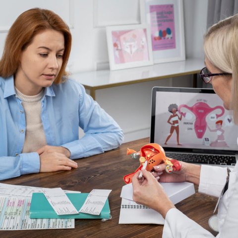 Una doctora ginecóloga utiliza un modelo anatómico del útero para explicar chequeos médicos preventivos a una paciente, representando el cuidado de la salud femenina en diferentes etapas de la vida.