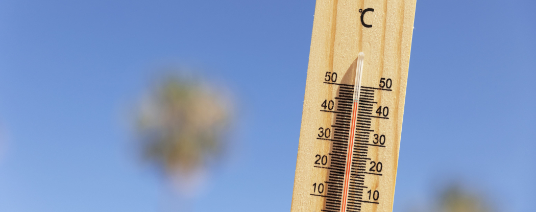 Altas temperaturas en Cartagena